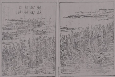 Japão Sankai Produção Show Volume 3 Hiroshima Oyster Hiroshima Oyster Farmer&39;s Method